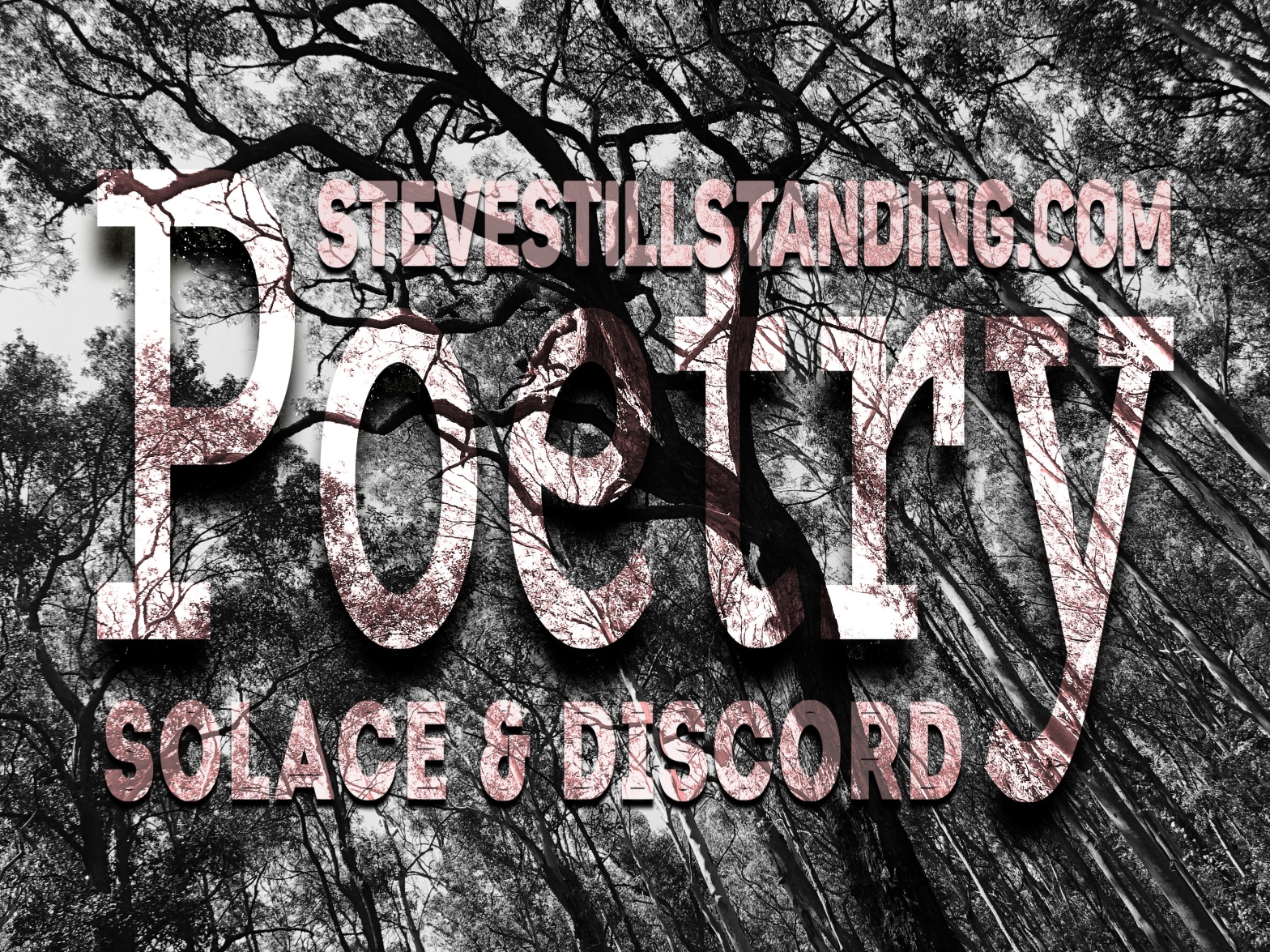 Steve still standing - Poetry